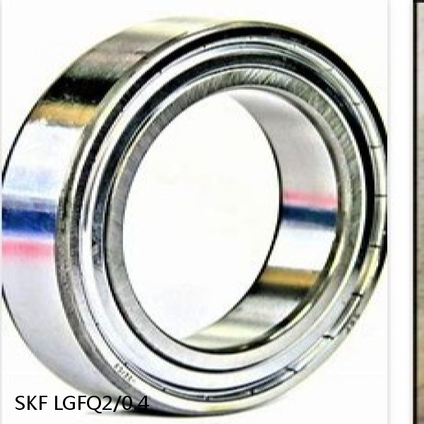 LGFQ2/0.4 SKF Bearing Grease