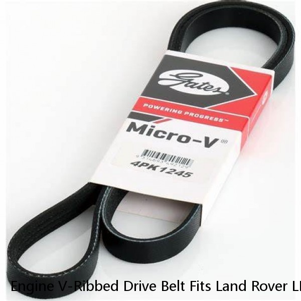 Engine V-Ribbed Drive Belt Fits Land Rover LR2 3.2L 2008-2012 #LR003570 #1 small image