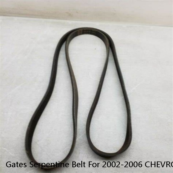 Gates Serpentine Belt For 2002-2006 CHEVROLET TRAILBLAZER EXT L6-4.2L #1 small image