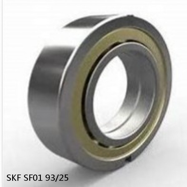 SF01 93/25 SKF Bearing Grease