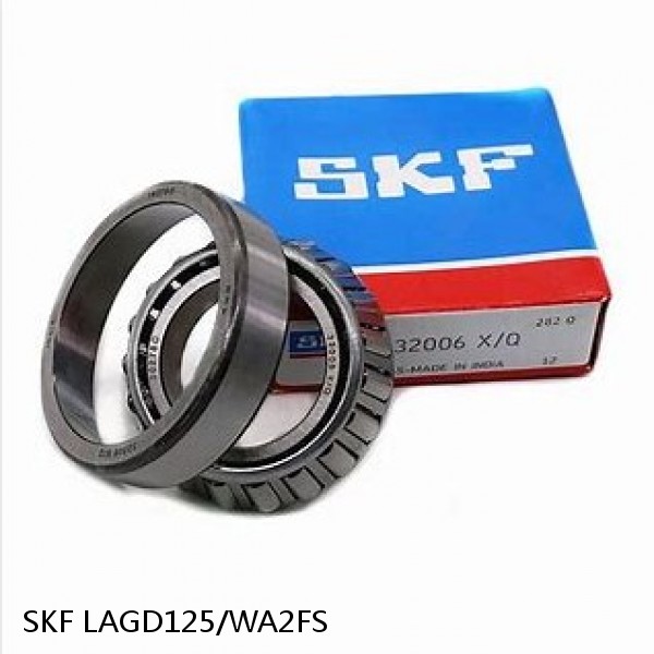 LAGD125/WA2FS SKF Bearing Grease