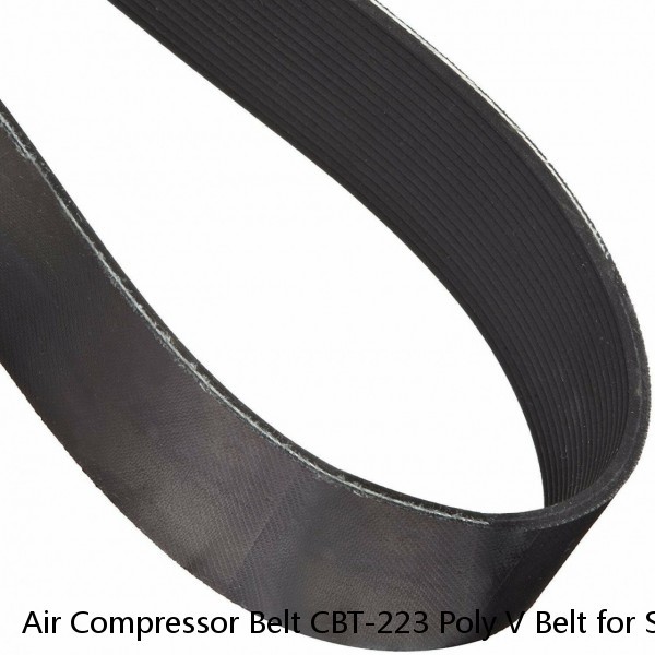 Air Compressor Belt CBT-223 Poly V Belt for Sears Craftsman Porter Cable CBT223 #1 image