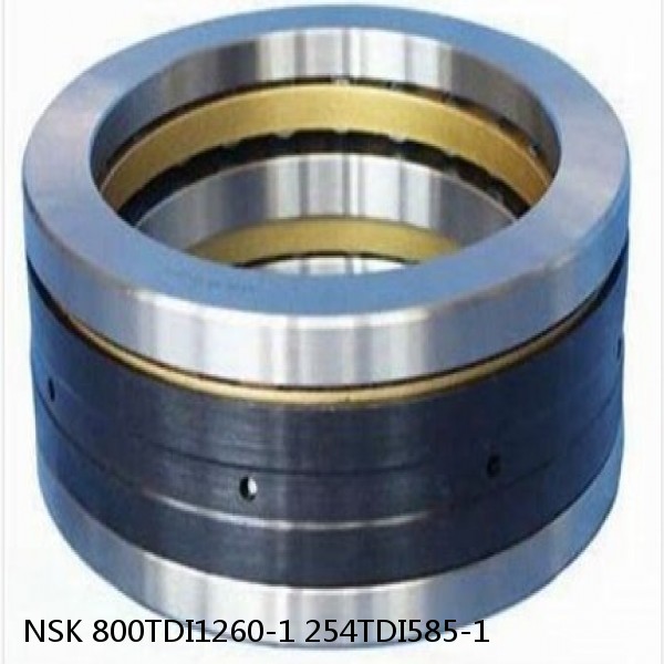 800TDI1260-1 254TDI585-1 NSK Double Direction Thrust Bearings #1 image