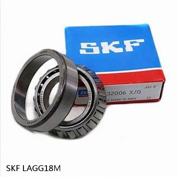 LAGG18M SKF Bearing Grease #1 image