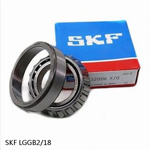 LGGB2/18 SKF Bearing Grease #1 image